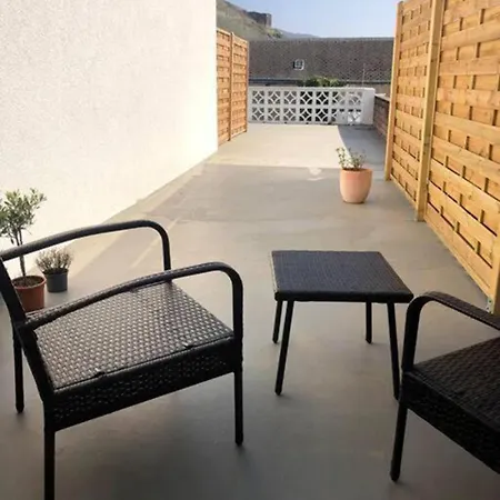 Gemuetliches Studio Rosenburgblick In Moselnaehe Zeltingen-Rachtig Exterior photo