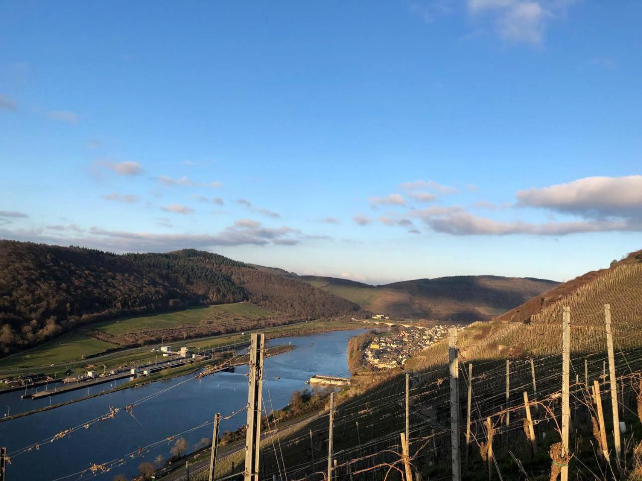 Apartment Gemuetliches Rosenburgblick In Moselnaehe