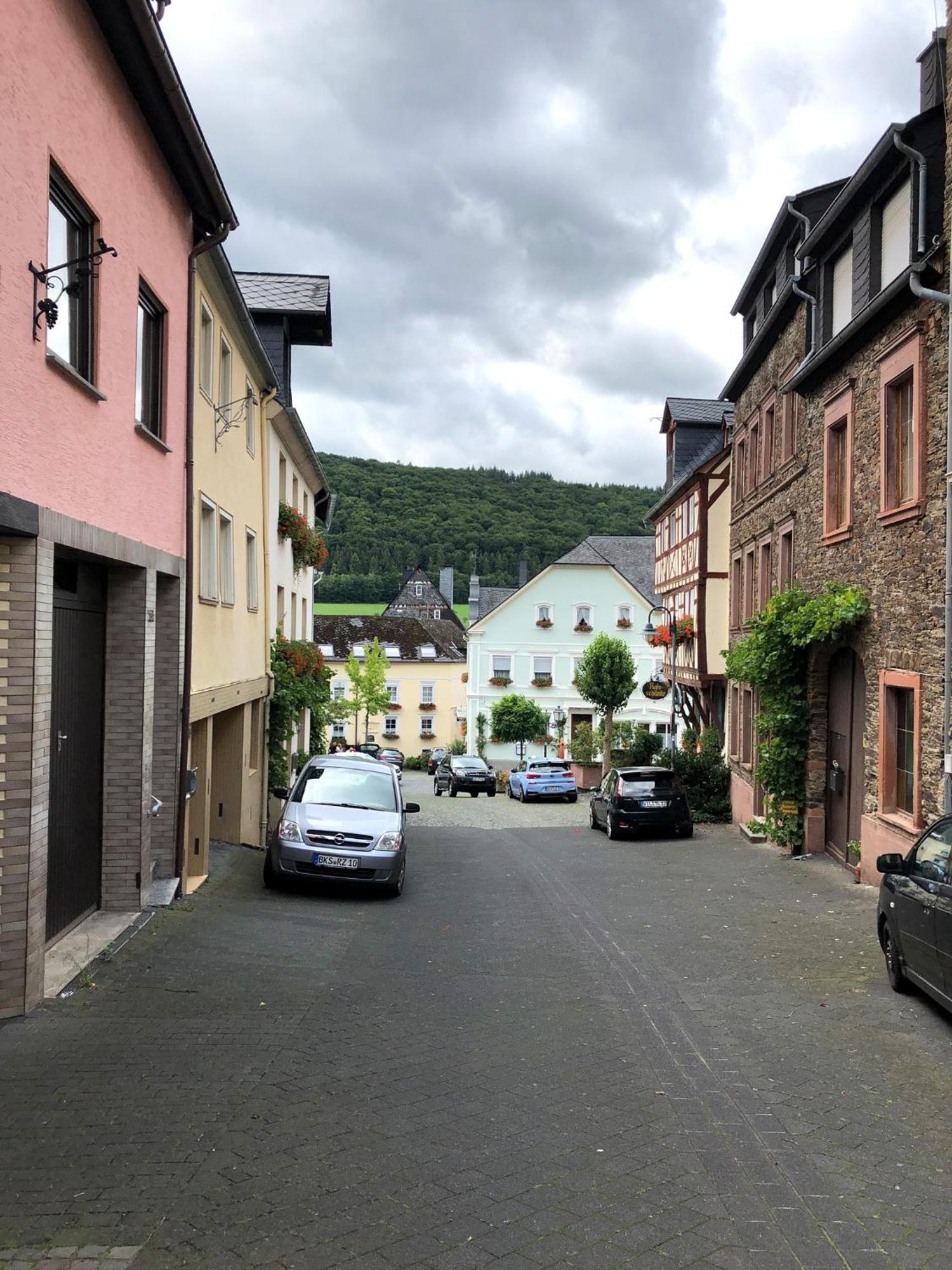 Gemuetliches Rosenburgblick In Moselnaehe Apartment *
